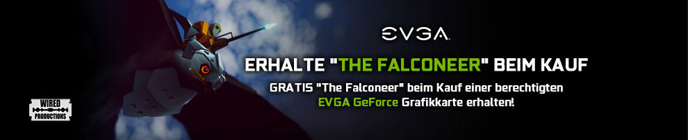 The Falconeer jetzt zu EVGA GeForce GTX/RTX Grafikkarten!