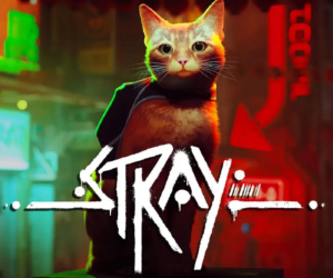Stray: Die Systemanforderungen zum purrfekten Katzenabenteuer