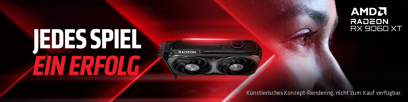 RX 9060 XT