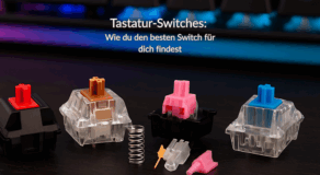 Tastatur Switches