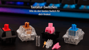 Tastatur-Switches: Wie du den besten Switch für dich findest