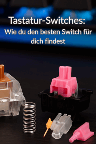 Tastatur-Switches: Wie du den besten Switch für dich findest 