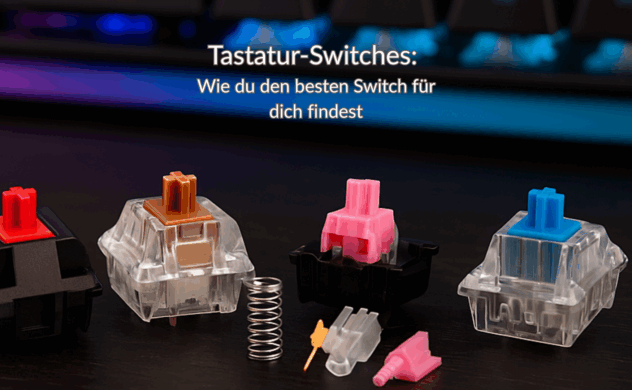 Tastatur-Switches: Wie du den besten Switch für dich findest 