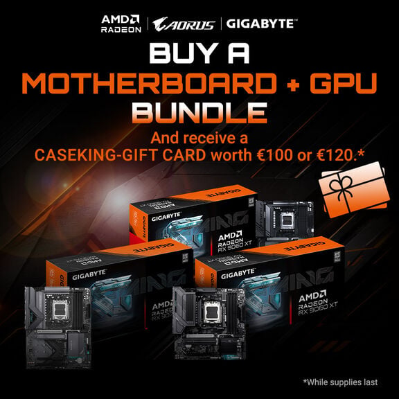Caseking Motherboard GPU Bundle