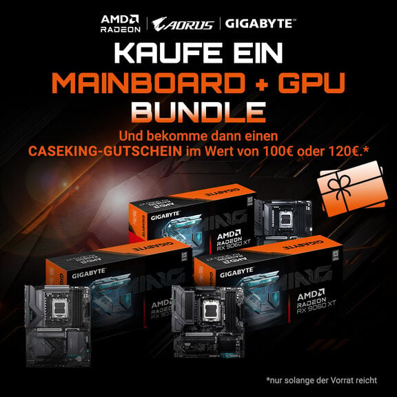 Caseking Mainboard GPU Bundle
