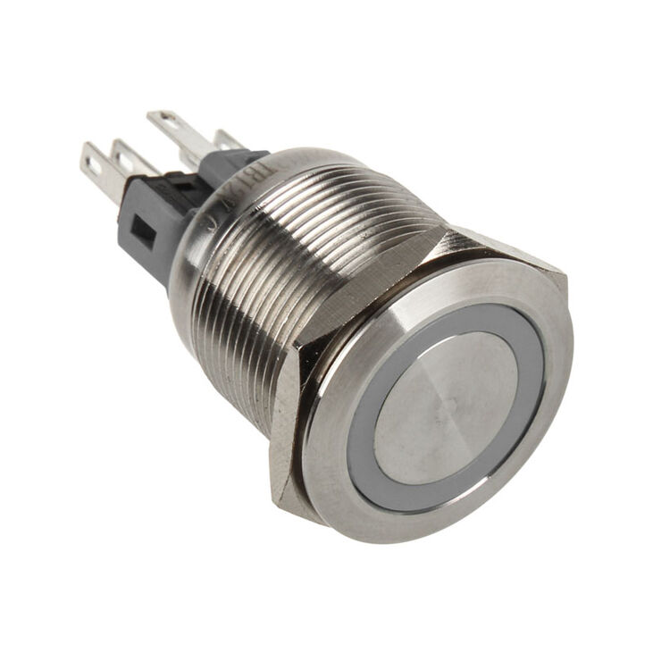 DimasTech Vandalismustaster 22mm - Silverline - orange image number 0