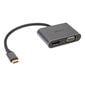 Akasa USB Typ C 2-In-1 Display-Adapter - silber