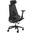 ASUS ROG Destrier Ergo Core Gamingstuhl - schwarz image number null