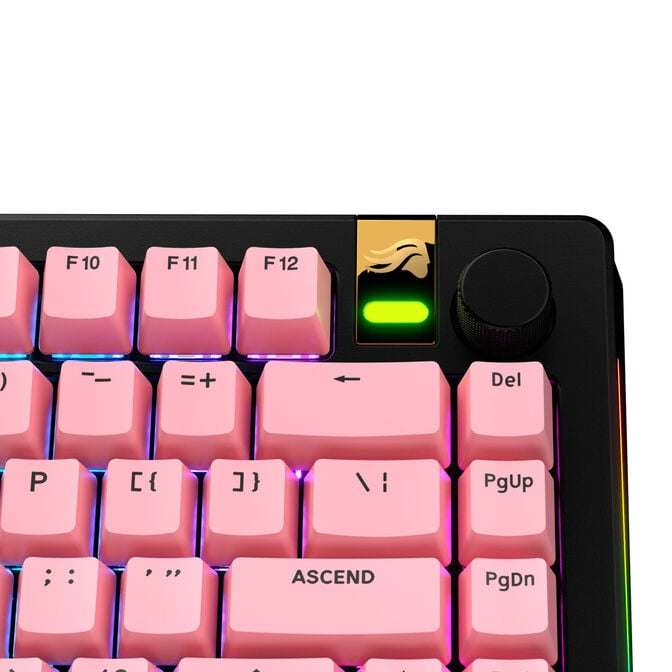 Glorious GPBT Basics Keycaps, ANSI Layout (US), PBT, Doubleshot - Potion Pink image number 4