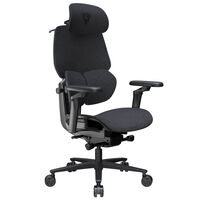 ThunderX3 FLEX Pro Gaming Chair, ergonomic - fabric, grey