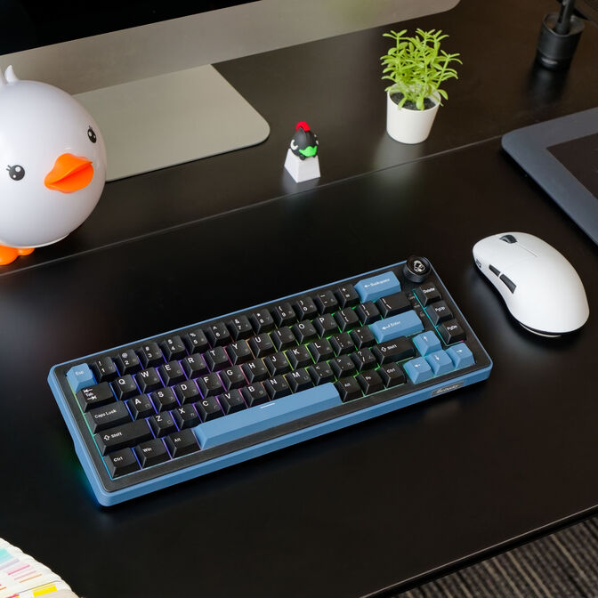 Ducky OK-M 65 Gaming-Tastatur, 65%, Hot-Swap-f&auml;hig, RGB, ANSI - KTT Baby Blue Switches image number 12