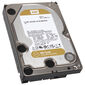 Western Digital Gold, SATA 6G, Intellipower, 3,5 Zoll - 1 TB