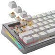 Glorious Panda Standard Switches, mechanisch, 5-Pin, taktil, MX-Stem, 50g - lubed, 36 St&uuml;ck image number null