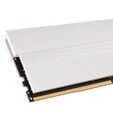 Team Group T-Force Xtreem ARGB, DDR4-3200, CL14 - 16 GB Dual Kit, wei&szlig; image number null
