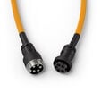 Glorious Coiled Cable Glorious Gold, USB-C to USB-A - 1,37m, gold image number null