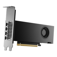 NVIDIA RTX 2000 Ada Generation Grafikkarte, 16384 MB GDDR6 - bulk