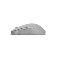 Endgame Gear XM2w 4k Wireless Gaming Maus, kabellos - White Frost image number null