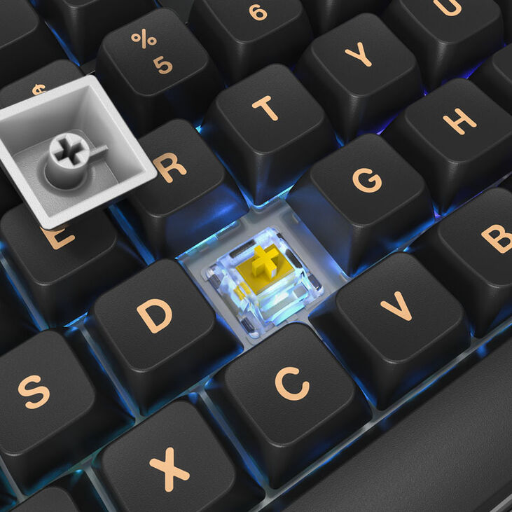 Montech MKey TKL Darkness Gaming Tastatur - GateronG Pro 2.0 Yellow (US) image number 3