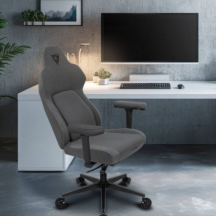 ThunderX3 CORE Smart Ergonomischer Gaming Stuhl - Loft Dunkelgrau image number 7