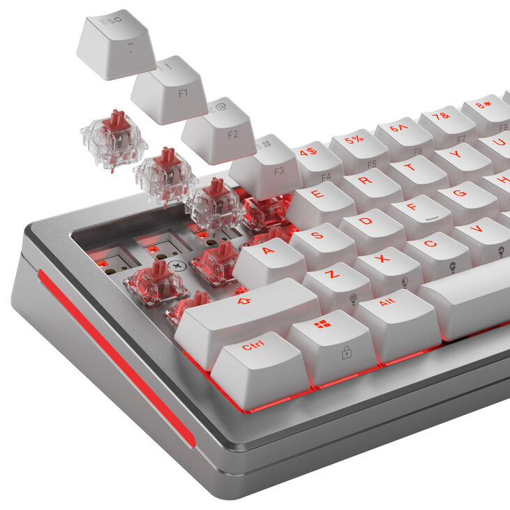 Glorious Fox Ultralight Switches, Mechanical, 5-Pin, Linear, MX Stem, 30g - Lubed, 110 Pieces image number 8