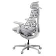 LiberNovo Omni Ergonomischer Stuhl, aktive R&uuml;ckenlehne, Massage - grau image number null