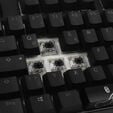 Ducky One 2 Backlit PBT Gaming Keyboard, MX-Black, RGB LED - black image number null