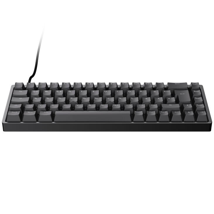 Endgame Gear KB65HE 8k Gaming Keyboard, Hall Effect, 8000Hz, 65%, RGB - Raesha Silent, ISO (German), Black image number 2