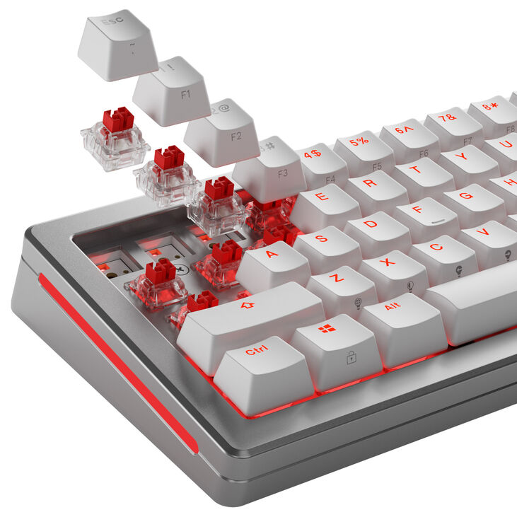 Glorious Fox HE Standard Switches, Hall Effect, Linear, MX Stem, 45g - Lubed, 36 Pieces image number 8