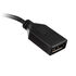 Akasa HDMI zu DisplayPort Adapter Kabel - schwarz image number null