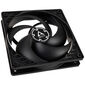 Arctic P12 fan, black - 120mm