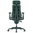 LiberNovo Omni Ergonomischer Stuhl, aktive R&uuml;ckenlehne, Massage - gr&uuml;n image number null
