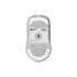 Endgame Gear XM2w 4k Wireless Gaming Maus, kabellos - White Frost image number null