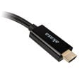 Akasa HDMI zu DisplayPort Adapter Kabel - schwarz image number null