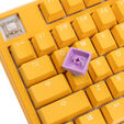 Ducky x Hotkeys Ducky League Aqua Duck image number null