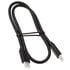 InLine USB 3.2 Gen.2 Cable, USB Type-C Male/Male, black - 0.5m image number null