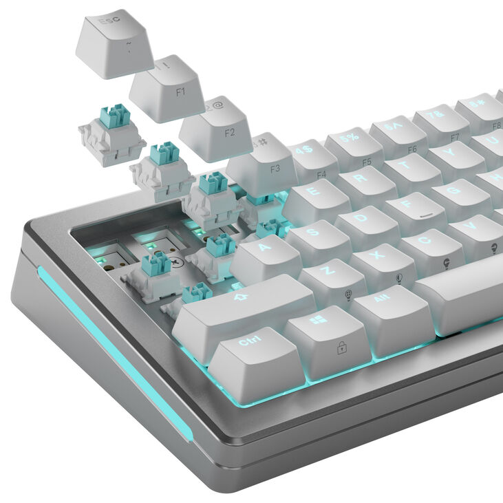 Glorious Lynx HE Standard Switches, Hall Effect, Linear, MX Stem, 40g - Lubed, 36 Pieces image number 8