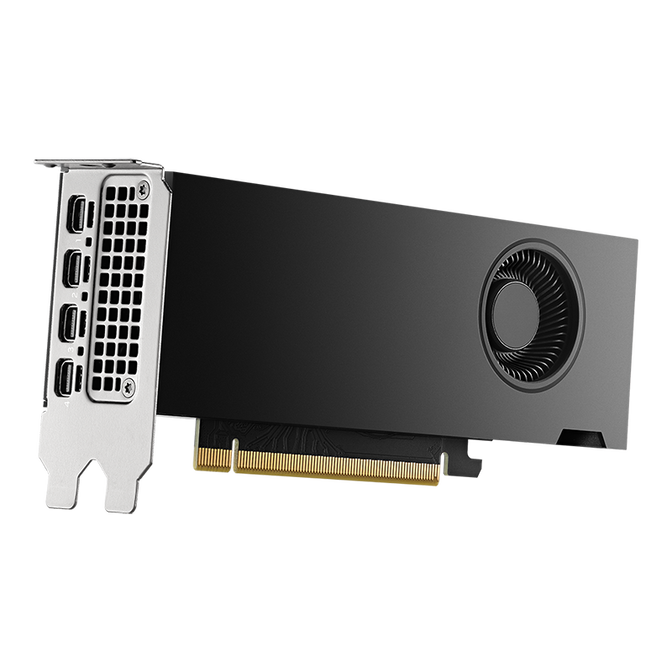 PNY RTX 2000 Ada Generation Grafikkarte, 16384 MB GDDR6 image number 1