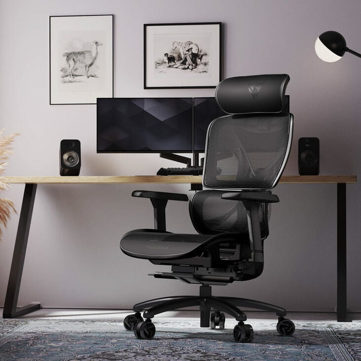ThunderX3 XTC Ergonomischer Bürostuhl, Mesh - schwarz image number 8