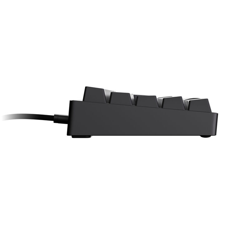 Endgame Gear KB65HE 8k Gaming Keyboard, Hall Effect, 8000Hz, 65%, RGB - Raesha Silent, ISO (German), Black image number 3