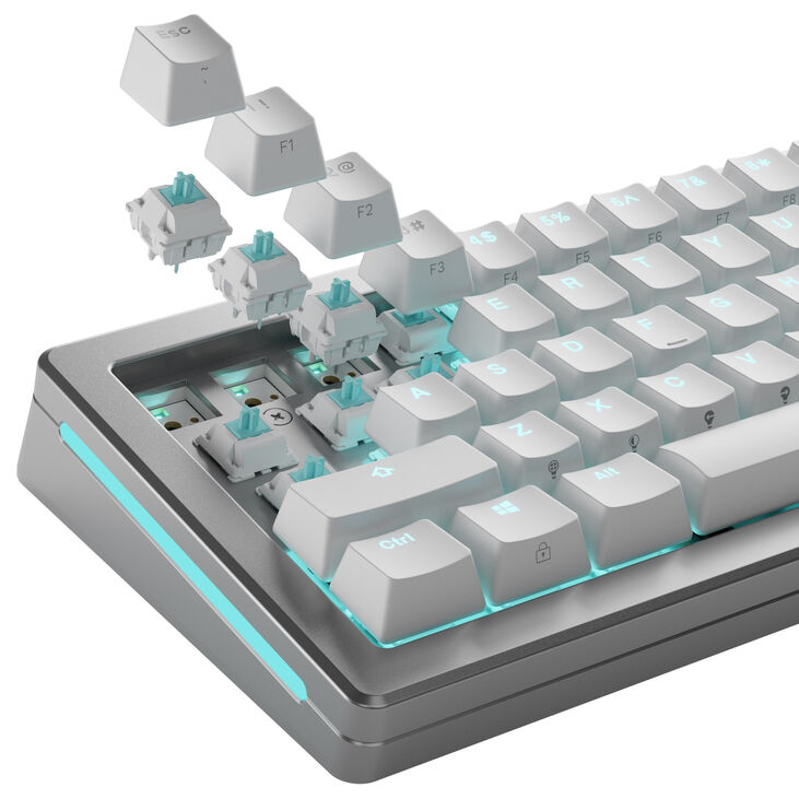 Glorious Lynx Standard Switches, Mechanical, 5-Pin, Linear, MX Stem, 40g - Lubed, 36 Pieces image number 8