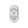 Endgame Gear XM2w 4k Wireless Gaming Maus, kabellos - White Frost image number null
