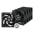 Arctic P8 PWM PST L&uuml;fter - 80mm, 5er Pack image number null