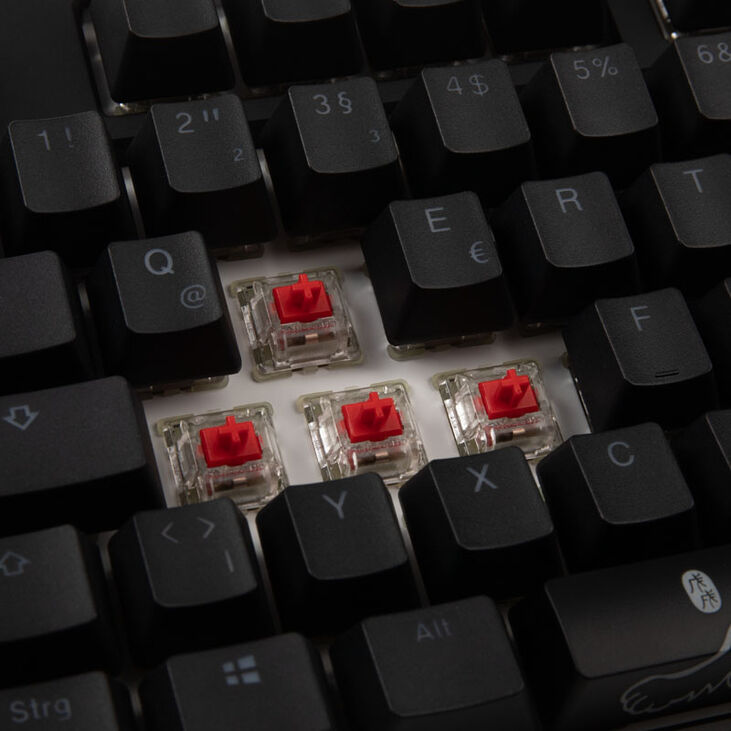 Ducky One 2 TKL PBT Gaming Keyboard, MX-Red, RGB LED - black image number 6