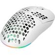 GAMIAC PX71 Wireless Gaming Mouse - white image number null