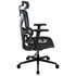 ThunderX3 YTC Ergonomischer Bürostuhl - schwarz/blau image number null