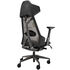 ASUS ROG Destrier Ergo Gaming Chair - black image number null