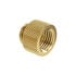 Barrow G1/4 inch extension straight MF 10 - gold image number null