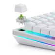 Glorious Raptor Standard Switch, mechanisch, 5-Pin, clicky, MX-Stem, 55g - lubed, 36 St&uuml;ck image number null