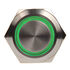 DimasTech Vandalismusschalter/-taster 19mm - Silverline - grün image number null