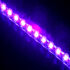 Lamptron FlexLight Standard - 24 LEDs - UV image number null